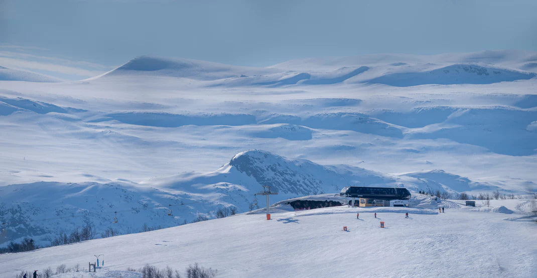 Tomsen Winter