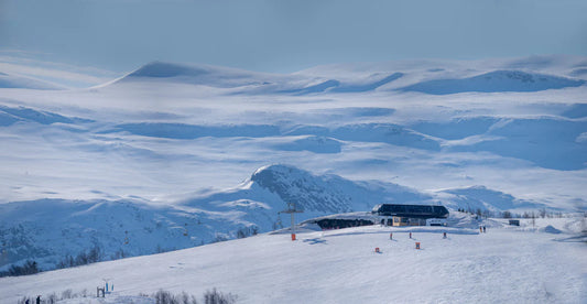 Tomsen Winter
